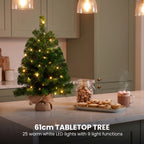 Christabelle Chadwick Green Christmas 3pc Set 61cm Tabletop Tree 61cm Wreath 2.7m Garland with LED Light