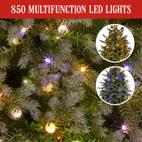2.3M Bergen Fir Multicolour Pre-Lit Christmas Tree