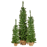152cm 122cm 90cm Set of 3 Pre-Lit Christmas Trees with Hessian Bases
