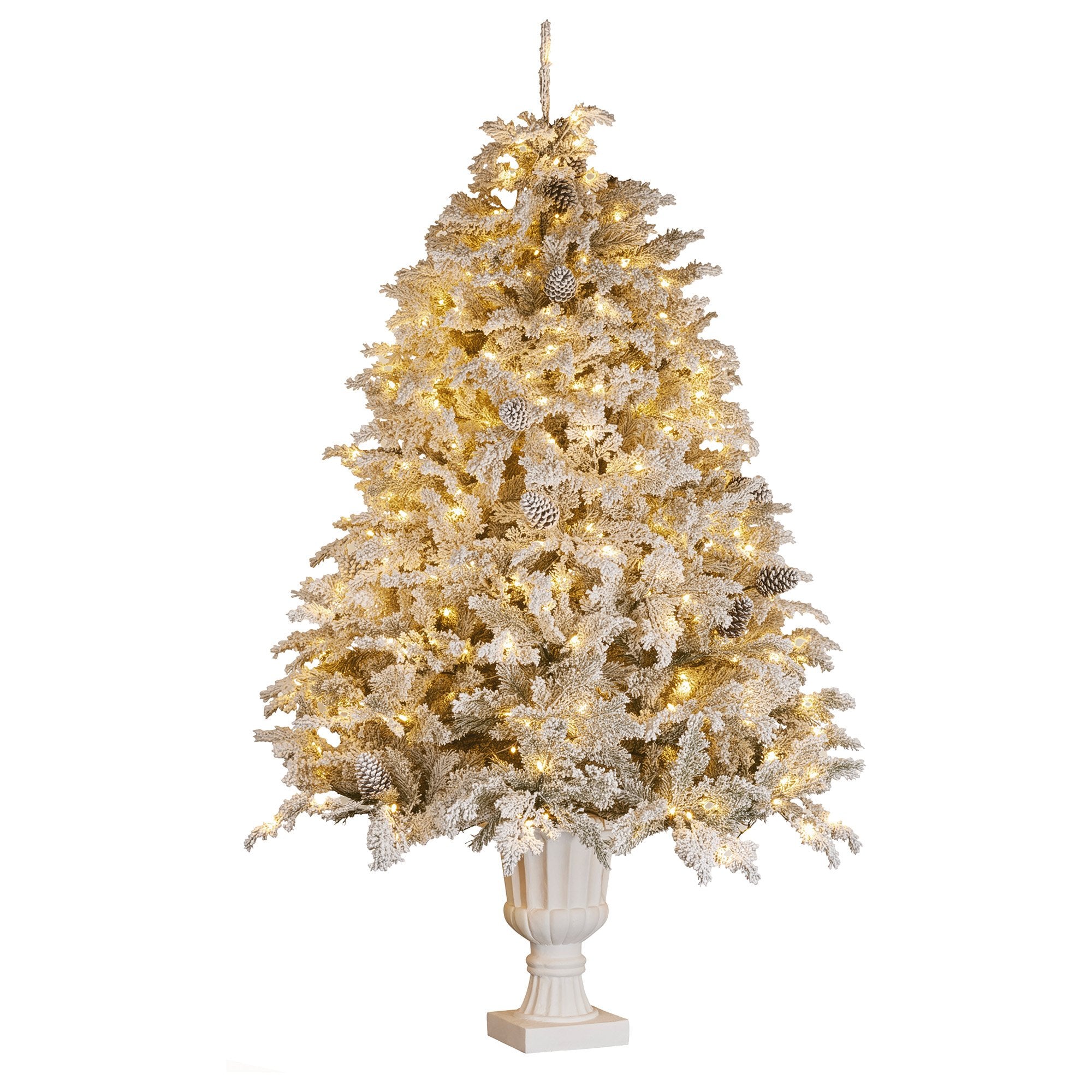 Christabelle 2.3m Christmas Tree Potted Alpine Fir with Pre Lit Multi-Colour LED Lights
