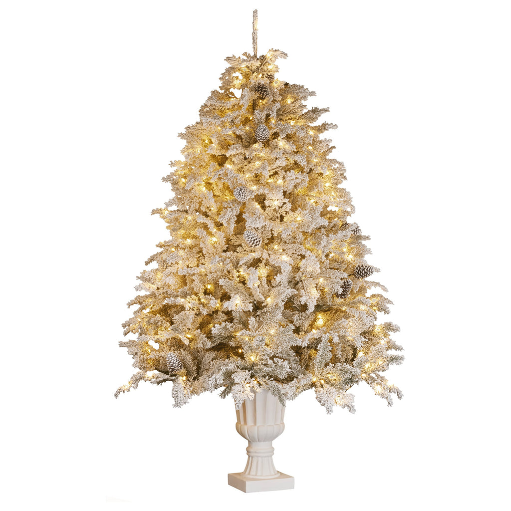 Christabelle 2.3m Christmas Tree Potted Alpine Fir with Pre Lit Multi-Colour LED Lights