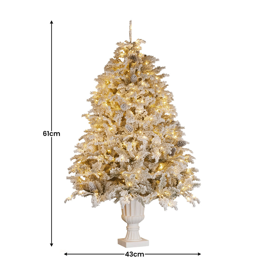 Christabelle 2.3m Christmas Tree Potted Alpine Fir with Pre Lit Multi-Colour LED Lights