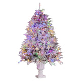 Christabelle 2.3m Christmas Tree Potted Alpine Fir with Pre Lit Multi-Colour LED Lights
