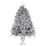 Christabelle 2.3m Christmas Tree Potted Alpine Fir with Pre Lit Multi-Colour LED Lights