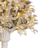 Christabelle 2.3m Christmas Tree Potted Alpine Fir with Pre Lit Multi-Colour LED Lights