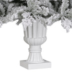 Christabelle 2.3m Christmas Tree Potted Alpine Fir with Pre Lit Multi-Colour LED Lights