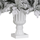 Christabelle 2.3m Christmas Tree Potted Alpine Fir with Pre Lit Multi-Colour LED Lights