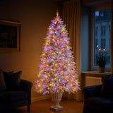 Christabelle 2.3m Christmas Tree Potted Alpine Fir with Pre Lit Multi-Colour LED Lights
