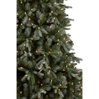 229cm Silver Fir Christmas Tree with Lights