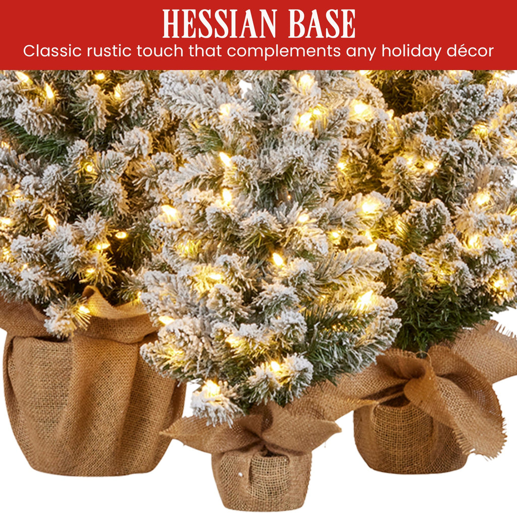 Christabelle Snowy Pine Christmas Trees Set of 3 with LED Lights & Hessian Base