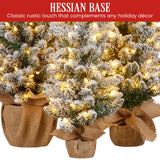 Christabelle Snowy Pine Christmas Trees Set of 3 with LED Lights & Hessian Base