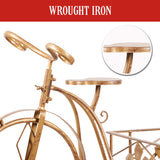 Antique Gold Bicycle Display Metal Christmas Decor