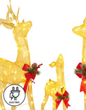 Set of 3 White Mesh Outdoor Christmas Display Reindeer with Lights