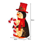 Christabelle 80cm Christmas Penguin Display with LED Lights Indoor Outdoor Decoration