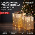 Christabelle 2 Gold White Christmas Gift Boxes Light Up Display 41cm 35cm Indoor Xmas Festive Decoration