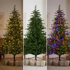 Christabelle 2.7m 9ft Bellewood Fir Christmas Tree Pre Lit Multi Function LED Foot Pedal Power Connect Hinged
