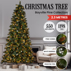 2.3M Christmas Tree with Twinkle Lights Bryson Pine