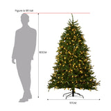 1.8m National Tree Company Dunhill Shimmer Fir Pre-Lit Christmas Tree