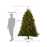 2.3m National Tree Company Dunhill Shimmer Fir Pre-Lit Christmas Tree