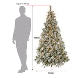 6ft 183cm Frosted Colonial Christmas Tree with Lights