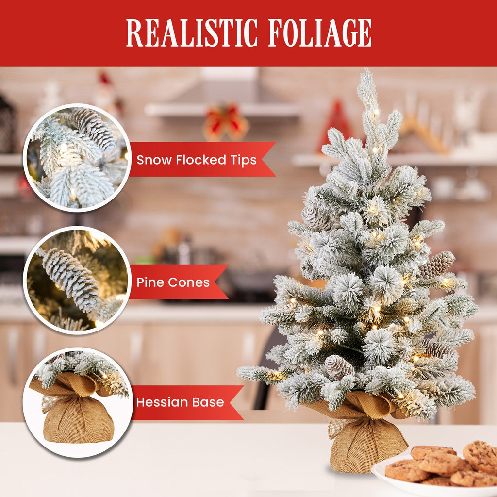 61cm National Tree Company Snowy Dorchester Table top Pre-Lit Christmas Tree