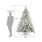 2.3M Christmas Tree with Twinkle Lights- Snowy Dorchester