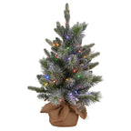 Christabelle 61cm Pre-Lit Snowy Stamford Spruce Battery-Operated Mini Christmas Tree Multi-Functional LED Timer