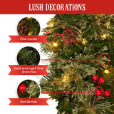 61cm Bristle Berry Christmas Wreath with Multi Functions Lights