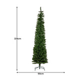 Christabelle 2.3m Christmas Tree Duncan Pine Pencil 7.5ft Pre Lit LED Lights