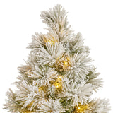 61cm Majestic Snow Prelit Tabletop Christmas Tree