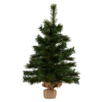 61cm Wintergreen Tabletop Pre-Lit Christmas Tree
