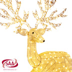 Reindeer Christmas Display with Lights - 129cm