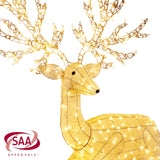 Reindeer Christmas Display with Lights - 129cm