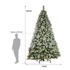 Snowy Crown Pine 3.6m Multicolour Pre-Lit Christmas Tree with 5340 Tips
