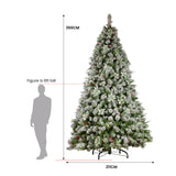 Snowy Crown Pine 3.6m Multicolour Pre-Lit Christmas Tree with 5340 Tips