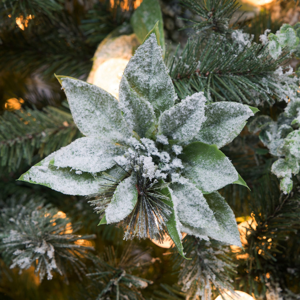 Snowy Crown Pine 3.6m Multicolour Pre-Lit Christmas Tree with 5340 Tips