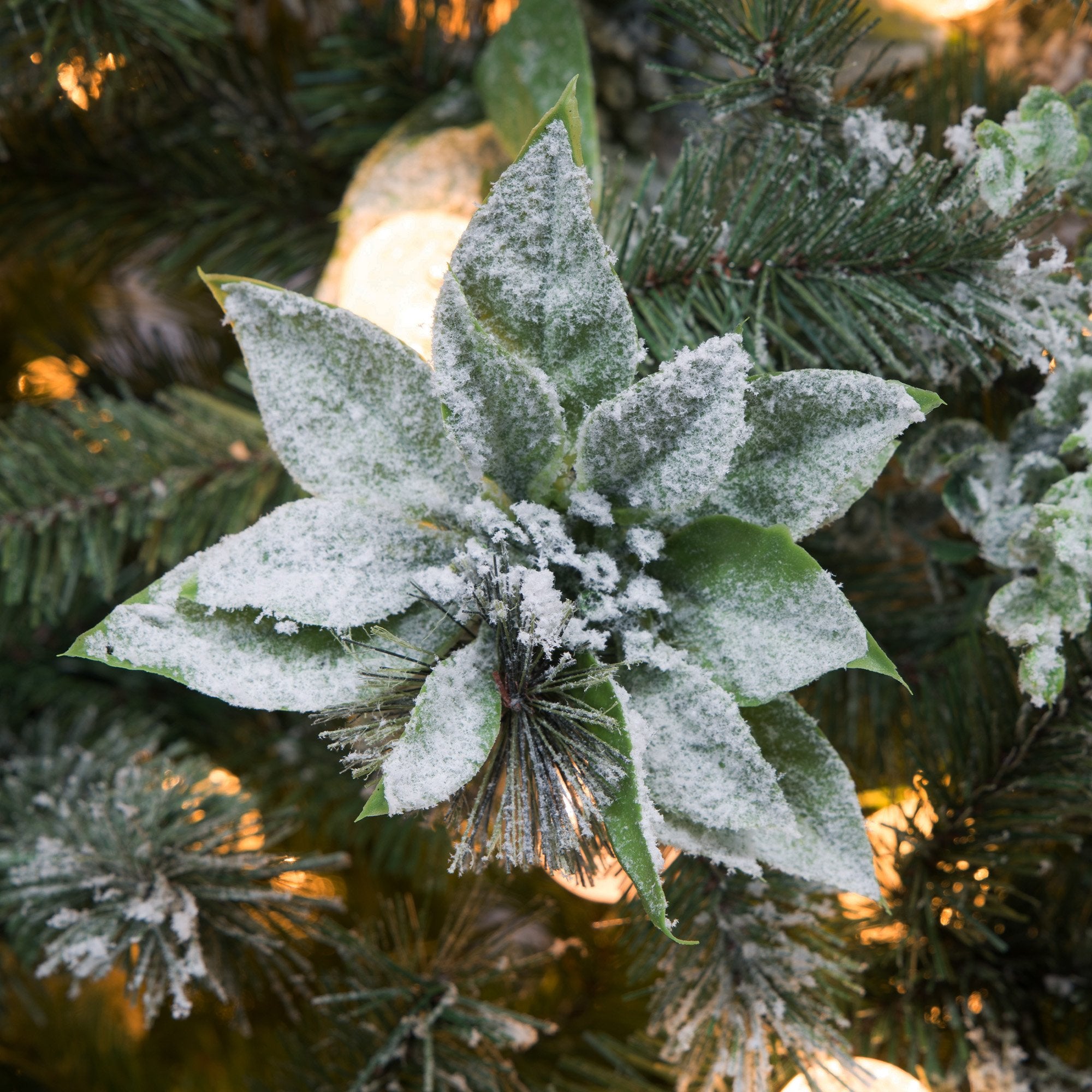 Snowy Crown Pine 3.6m Multicolour Pre-Lit Christmas Tree with 5340 Tips