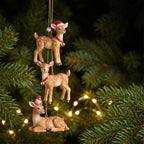Christabelle 3 Reindeer Christmas Ornaments Assorted Cute Novelty Figures 9cm Xmas Tree Decorations Hanging Baubles
