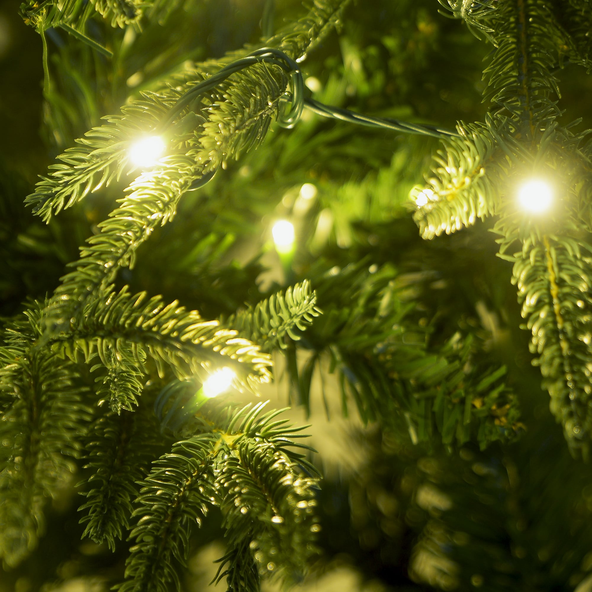 1.8m Christabelle Prelit Everglow Fir Christmas Tree with 300 LED Lights