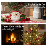 Christabelle 55cm Christmas Tree with Lights in Santa Pot