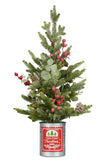 62cm Christmas Tree with Lights in Tin Pot
