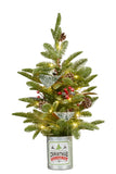 65cm Christmas Tree with Lights in Tin Pot