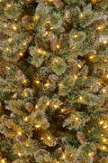 2.7M Christmas Tree with Lights - Cashmere