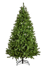 2.3M Christmas Tree with Lights - Evergreen