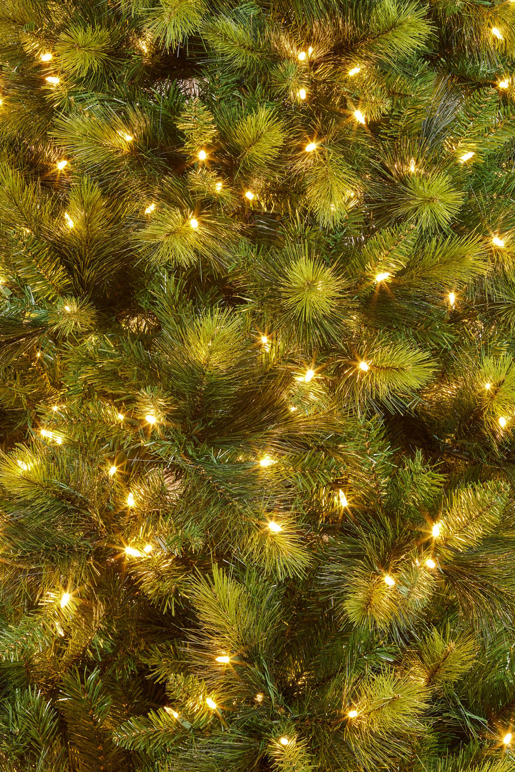 2.3M Christmas Tree with Lights - Eastern Pine
