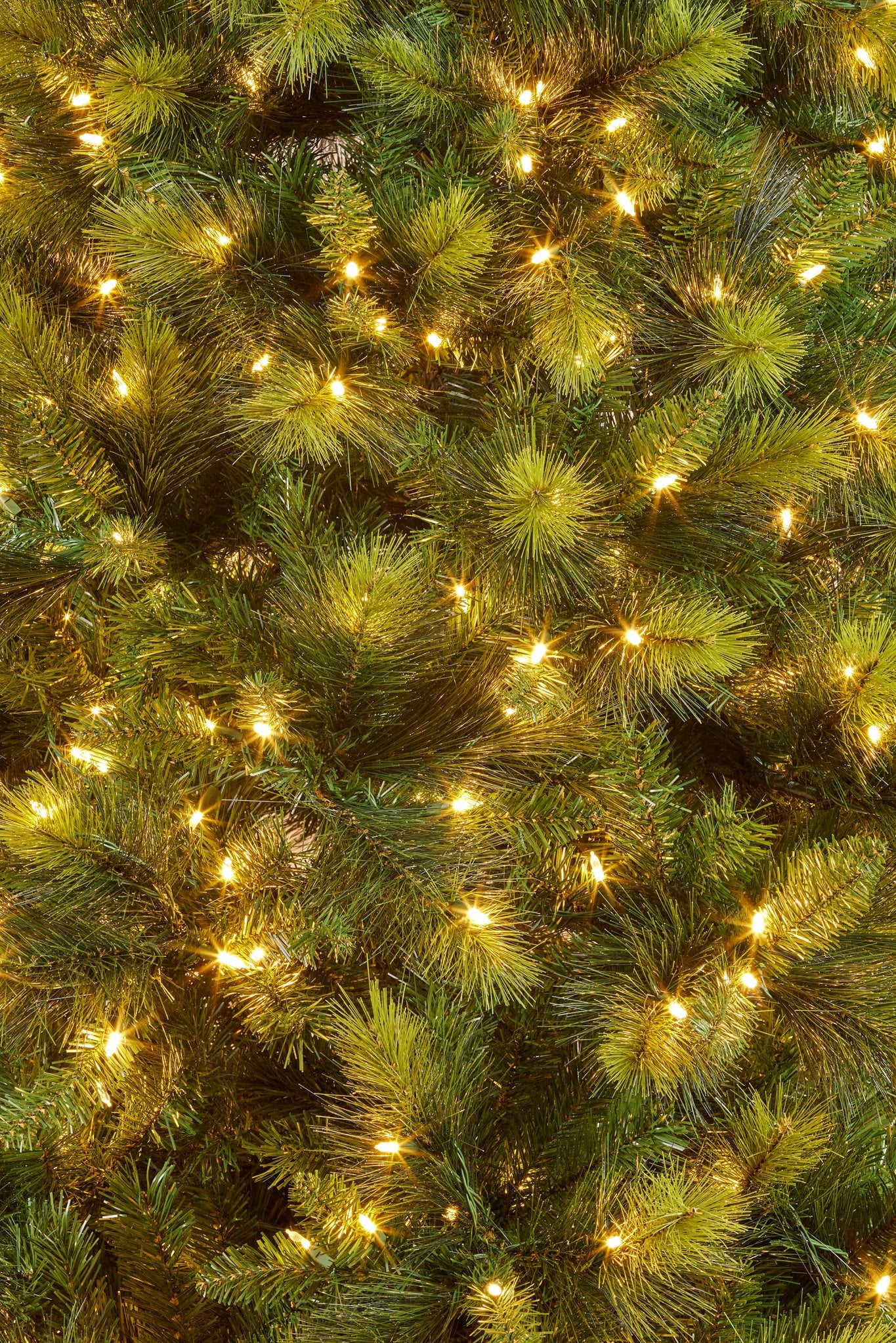 2.3M Christmas Tree with Lights - Eastern Pine