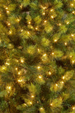 2.3M Christmas Tree with Lights - Eastern Pine