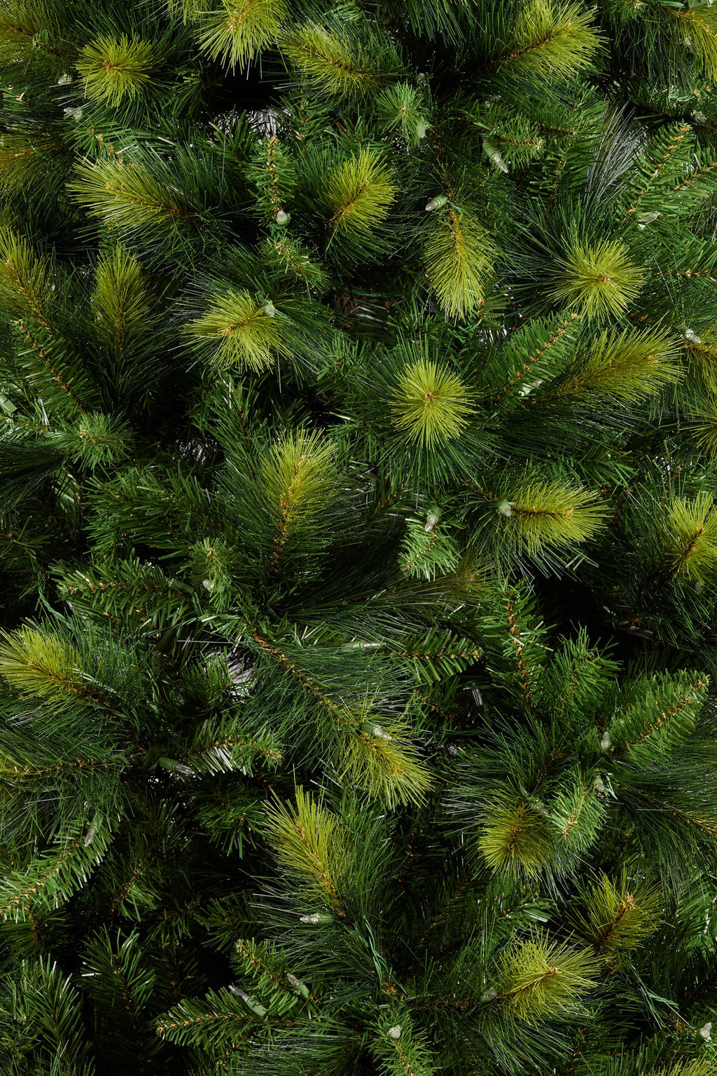 2.3M Christmas Tree with Lights - Eastern Pine