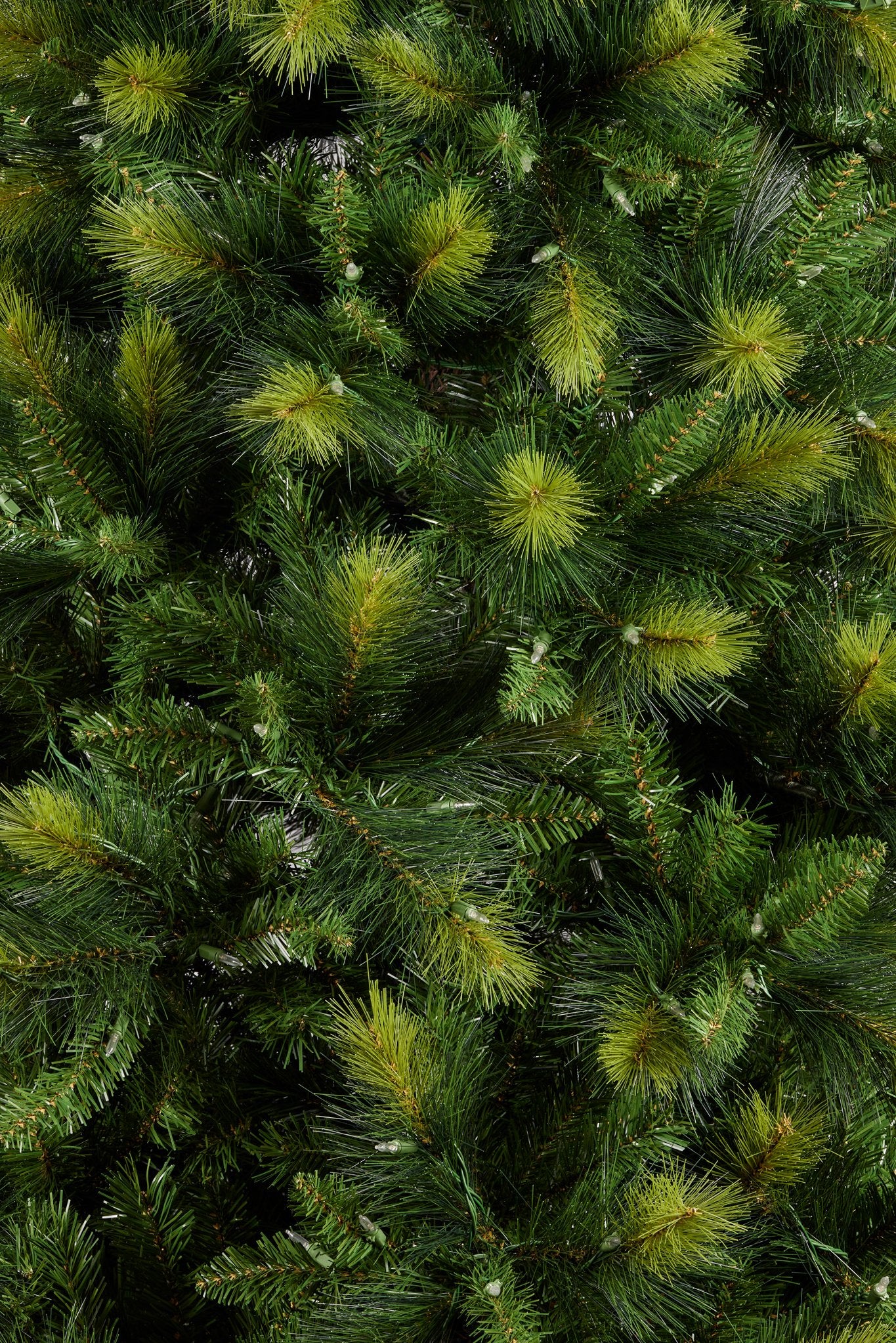 2.3M Christmas Tree with Lights - Eastern Pine