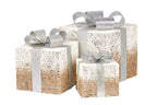 3 Piece Christmas Present Display Set with Lights- Champagne Finish